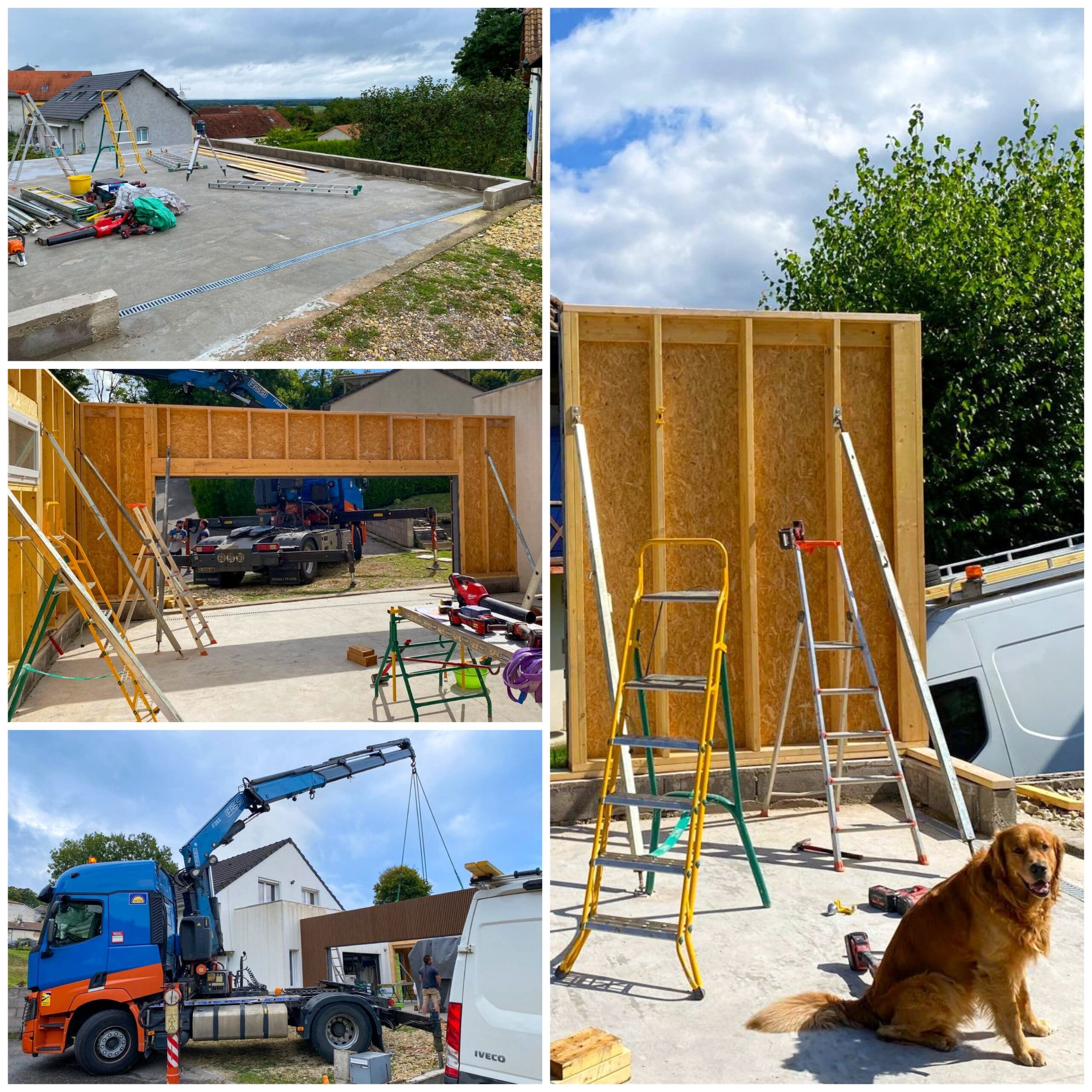 garage en cours de construction avec un chien dessus